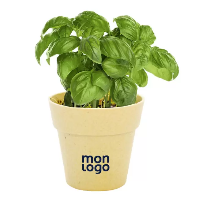 KIT DE PLANTATION BIODÉGRADABLE PERSONNALISÉ 'ARROSY'