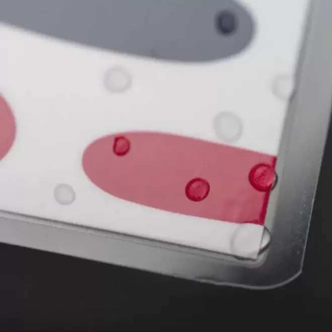 SET DE TABLE PUBLICITAIRE PLASTIFIÉ 'TERMOLI'