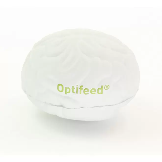 ANTI STRESS BRAIN PERSONNALISE 'STRESSKOOL BRAIN'