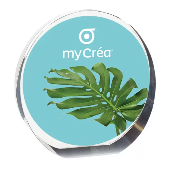 TROPHÉE PUBLICITAIRE ROND 'AWARD' QUADRICHROMIE