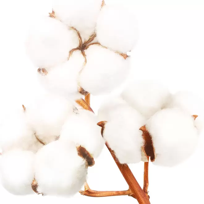 TOUR DE COU PUBLICITAIRE COTON BIO AVEC CLIP DÉTACHABLE 'LUNIVA'