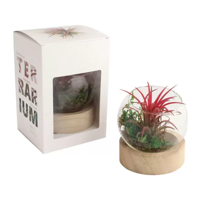 TERRARIUM PERSONNALISÉ EN VASE AVEC SOCLE EN BOIS 'RALINA'