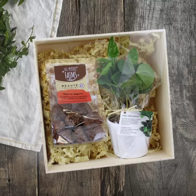 COFFRET DE PLANTE ET DE GOURMANDISE PERSONNALISABLE 'CAREX'