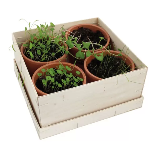 COFFRET AROMATIQUE PERSONNALISABLE EN BOIS 'AROMATUS'