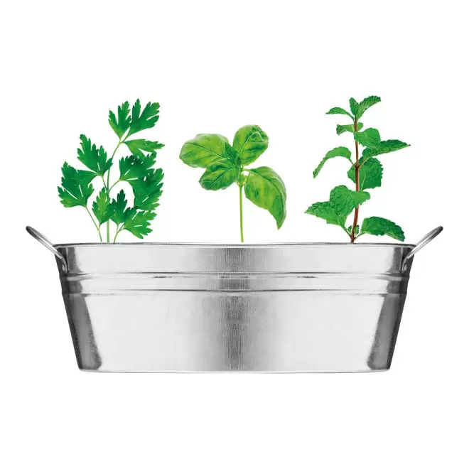 BAC À PLANTES PERSONNALISÉ 'BASILICA'