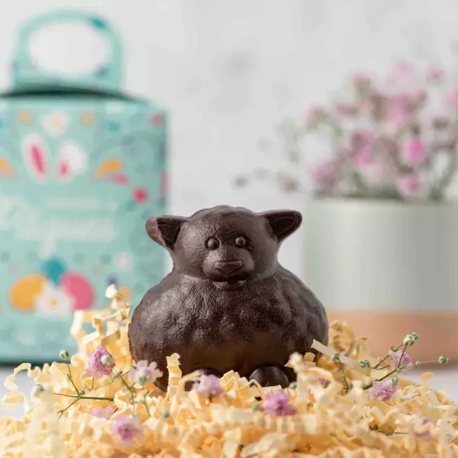 MOULAGE EN CHOCOLAT BIO NOIR OU AU LAIT PERSONNALISÉ LPCC® 'CHOCO'