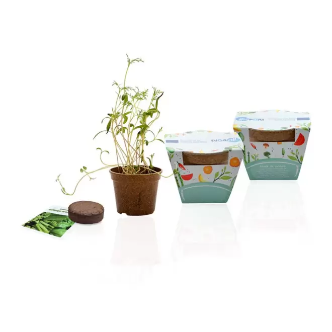 KIT PERSONNALISABLE DE PALNTATION JARDIN ECOLO 'RELIS'