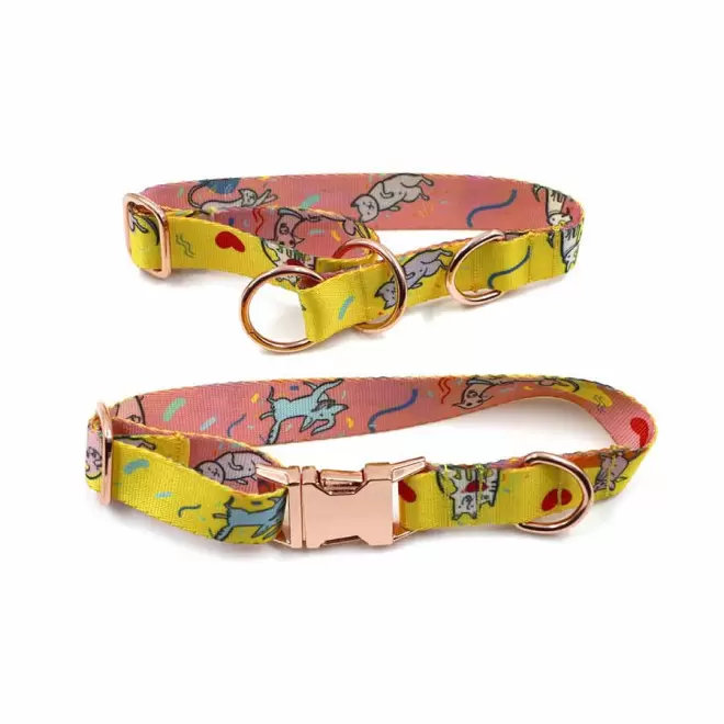 COLLIER PERSONNALISE POUR ANIMAUX 'HARLEY'