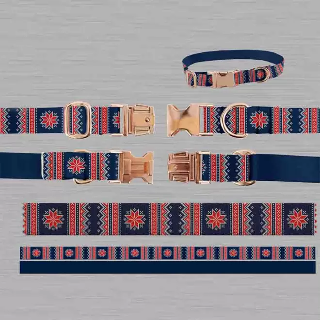 COLLIER PERSONNALISE POUR ANIMAUX 'HARLEY'