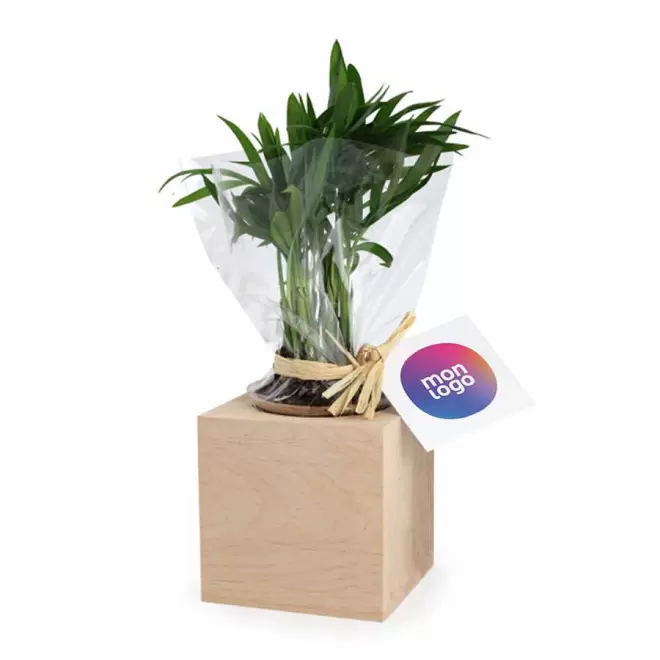 CUBE EN BOIS PERSONNALISABLE AVEC PLANTE OU ARBRE 'HARWOR'