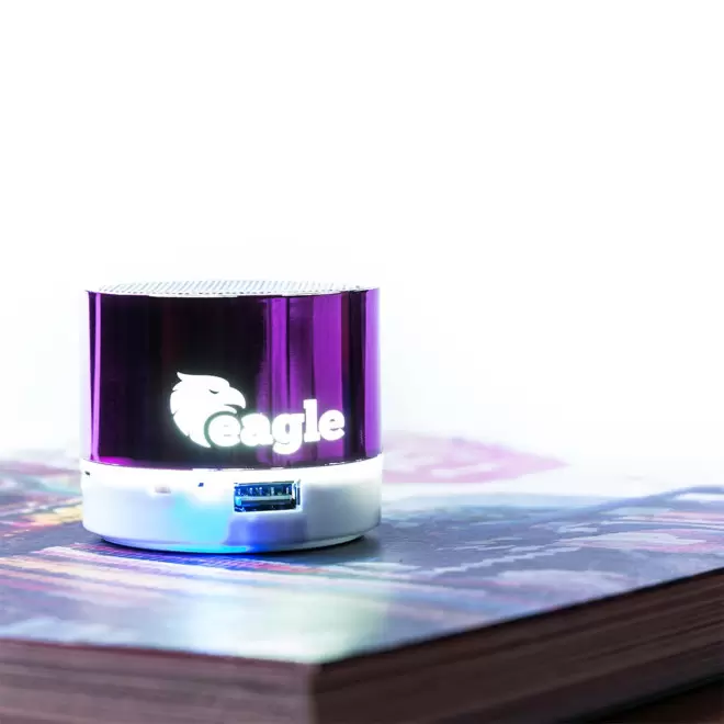 ENCEINTE PERSONNALISABLE 3W LOGO LUMINEUX 'NOVALUMI'