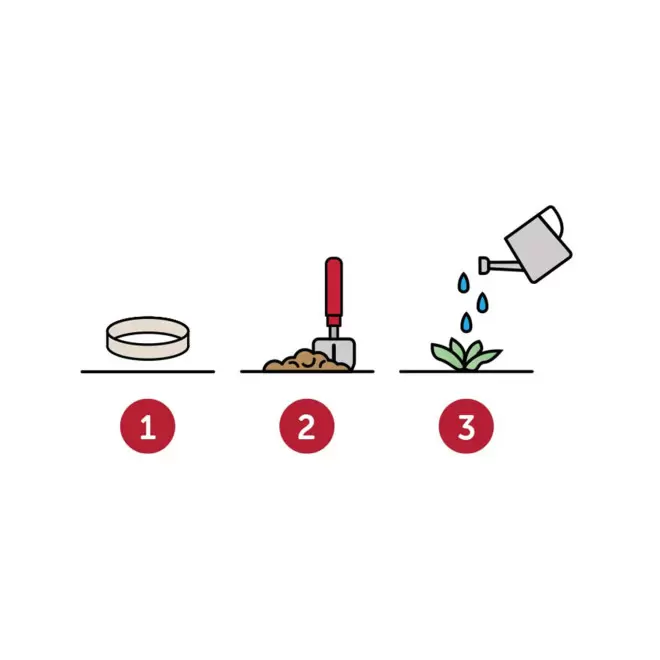 TOUR DE COU ENSEMENCÉ PERSONNALISABLE 'LOREA'