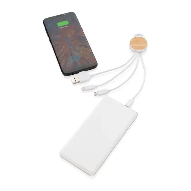 CÂBLE PERSONNALISÉ RÉTRACTABLE RCS 5 EN 1 'ONTARIO'