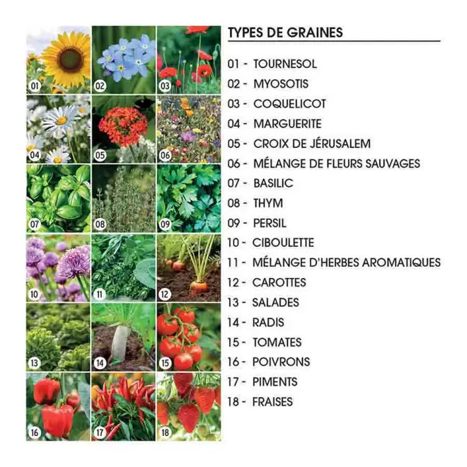 SACHET DE GRAINES PERSONNALISABLE EN QUADRI 'PLANTAI M'