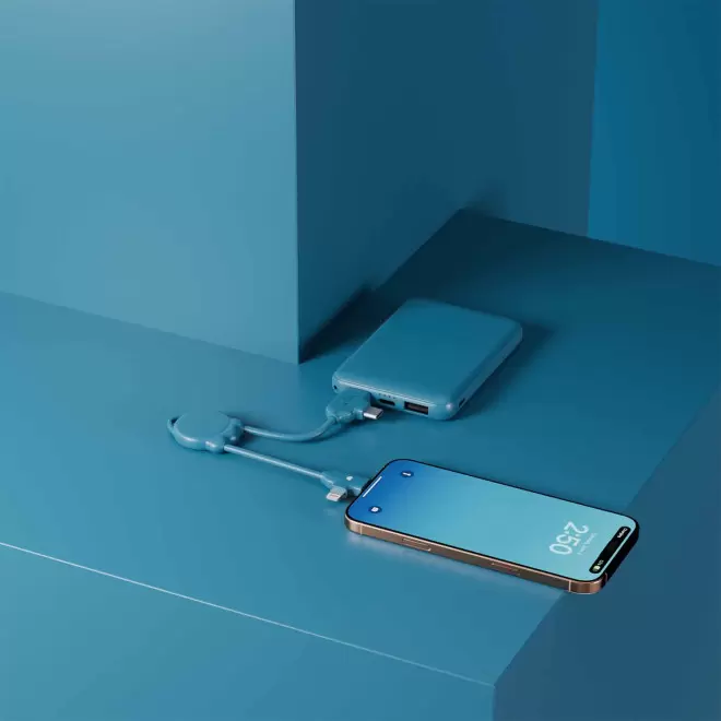 CABLE DE CHARGE PERSONNALISABLE 'OCTOMINI'