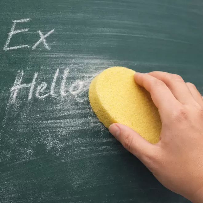 EPONGE SPONTEX PERSONNALISABLE 'OVAL'