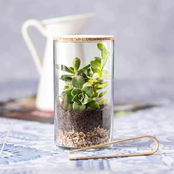 TERRARIUM PERSONNALISÉ 'TERRARI' 