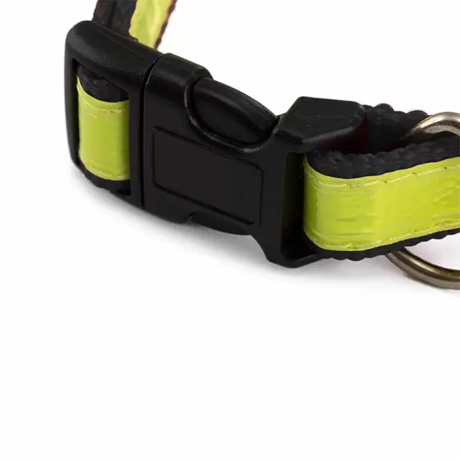 COLLIER PERSONNALISABLE POUR ANIMAUX  'FRIZON'