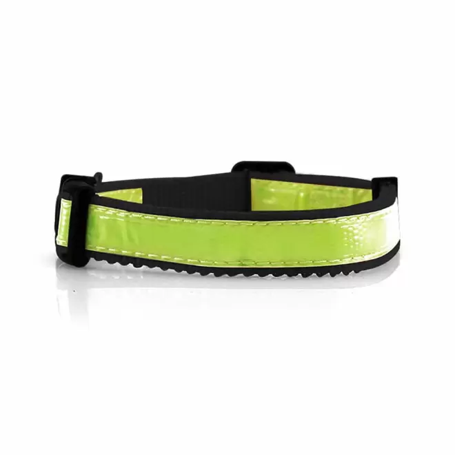 COLLIER PERSONNALISABLE POUR ANIMAUX  'FRIZON'