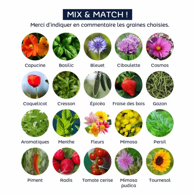 CARTE 3 VOLETS AVEC GRAINES PERSONNALISABLE 'POUVOI'