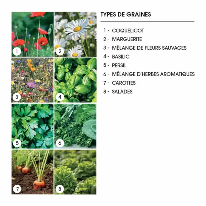 PAPIER ENSEMENCE MIE PERSONNALISE 'HORTUS' A6