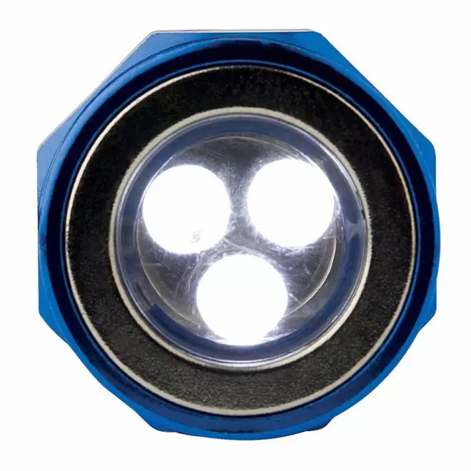 TORCHE FLEXIBLE TELESCOPIQUE 'NESSIE' 4J