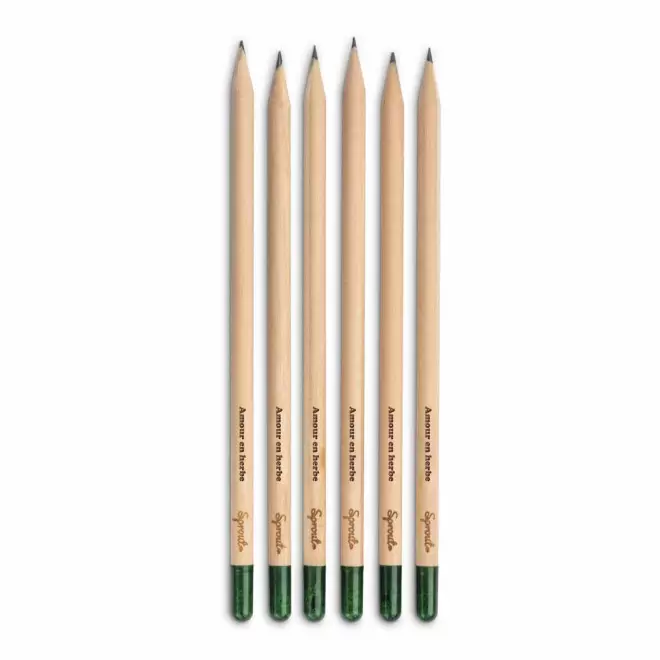 CRAYON GRAINES AVEC CARTONETTE PERSONNALISABLE 'POUSS ST VALENTIN' 