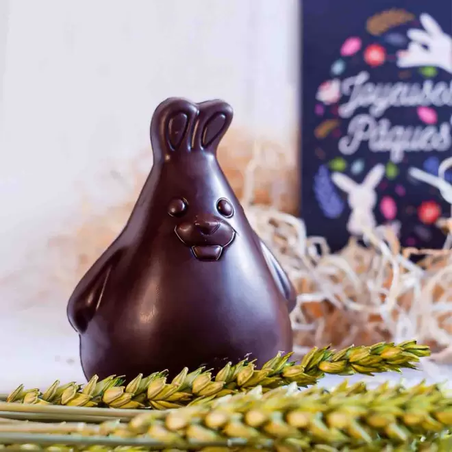 MOULAGE EN CHOCOLAT BIO NOIR OU AU LAIT PERSONNALISÉ LPCC® 'CHOCO'