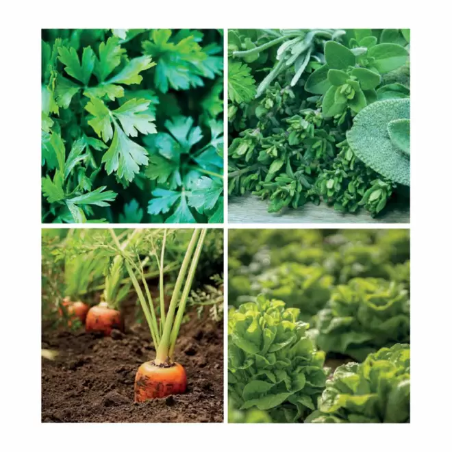 CARTE A PLANTER ENSEMENCEE PERSONNALISABLE 'HORTUS FORME'