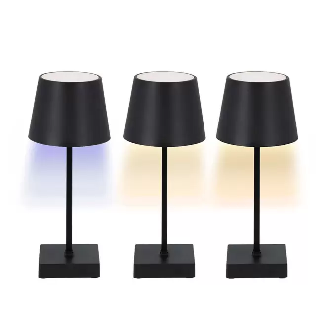 LAMPE DE TABLE PERSONNALISABLE 'LUMINOEU'