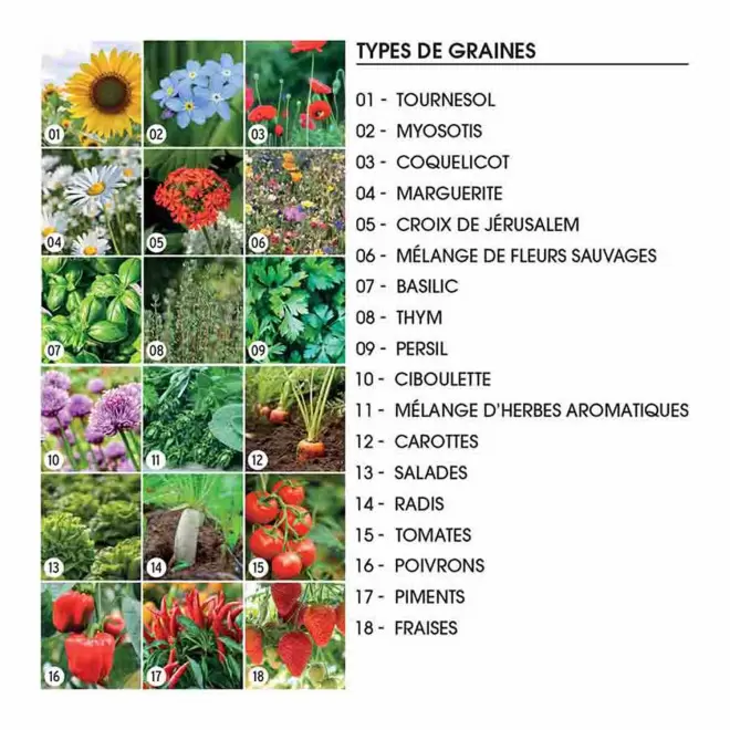 KIT DE PLANTATION PERSONNALISABLE 'POPPY QUADRI TRIO'