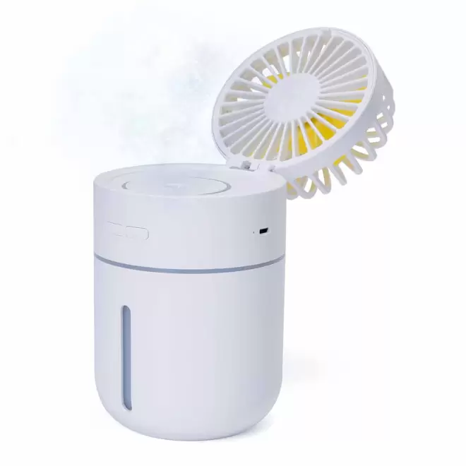 VENTILATEUR BRUMISATEUR PERSONNALISABLE 'WINT'