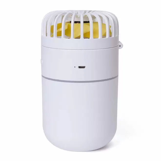 VENTILATEUR BRUMISATEUR PERSONNALISABLE 'WINT'