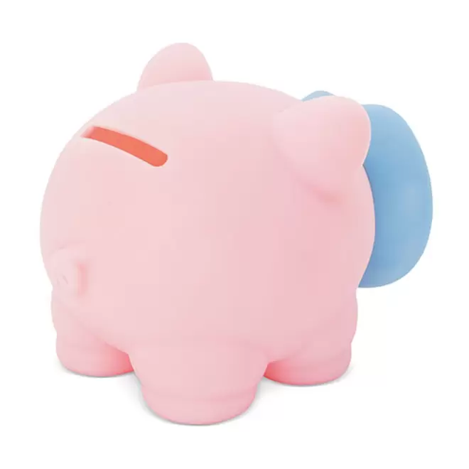 TIRELIRE PERSONNALISEE 'GROWY BICOLORE'