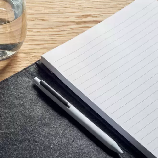 CONFERENCIER PERSONNALISE EN RPET 'AGATHE' 