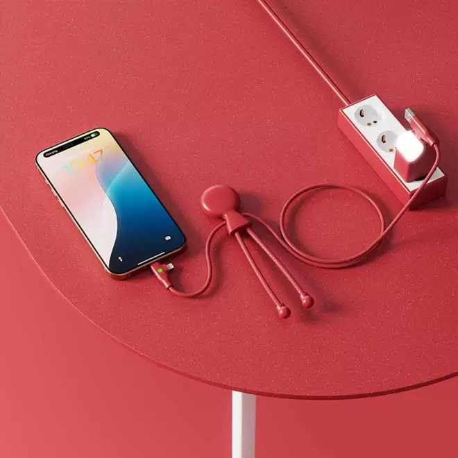 CABLE DE CHARGE PERSONNALISABLE 'MR BIO LONG FAST 60W'