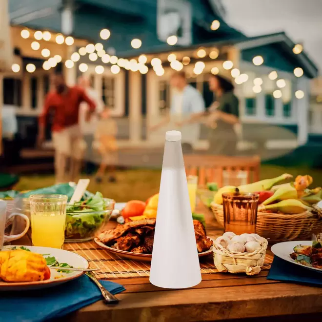 VENTILATEUR ANTI MOUCHE PERSONNALISABLE 'PECES'