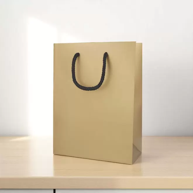 SAC CADEAU PAPIER FSC PERSONNALISABLE 'SOSOMA 18x8x24' 