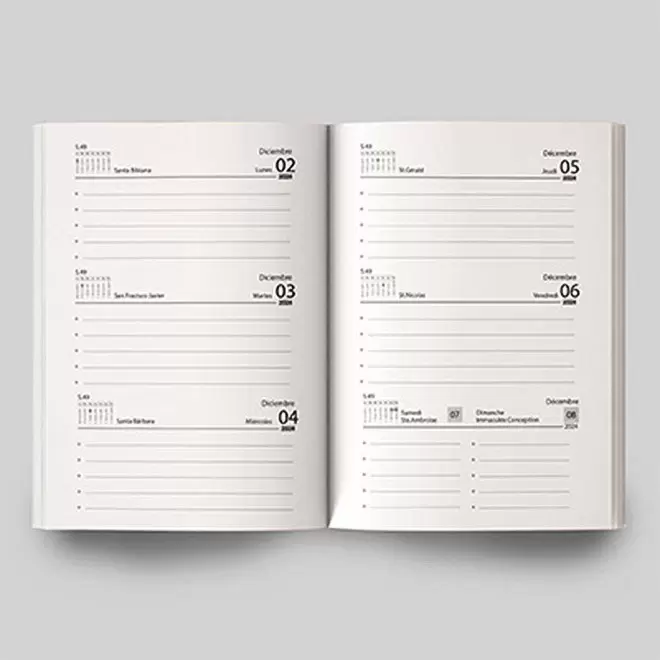 AGENDA SEMAINIER PERSONNALISABLE 'CANVO' 