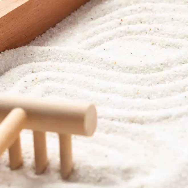 MINI JARDIN ZEN PERSONNALISE 'ALINA'