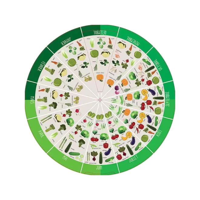 DISQUE PEDAGOGIQUE PERSONNALISABLE 'FRUITS ET LEGUMES'