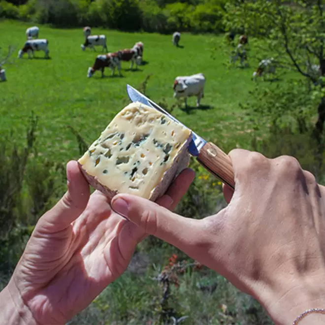 COUTEAU PERSONNALISE EN OLIVIER 'OLIVTO'