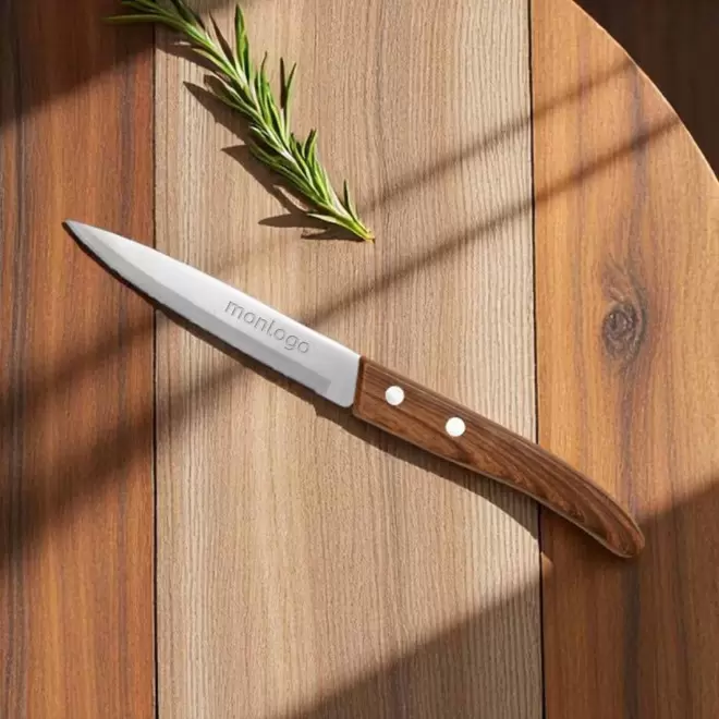 COUTEAU DE TABLE PERSONNALISABLE EN ABS 'NOTORI'