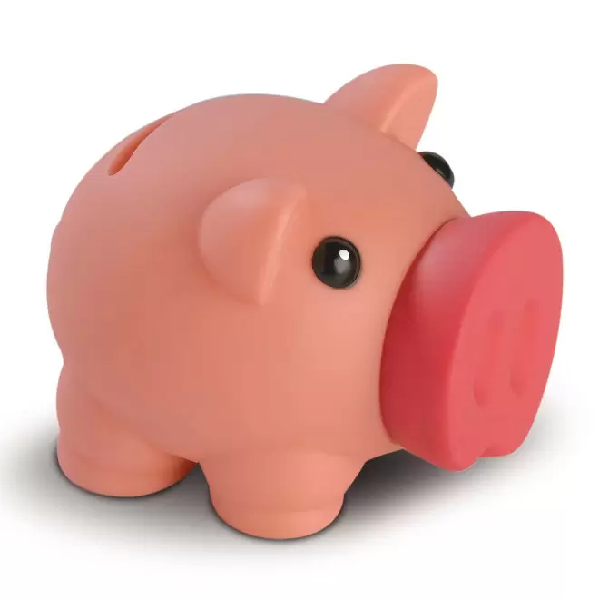 RAPIDE 4J - TIRELIRE PERSONNALISABLE 'GROWY'  - rose