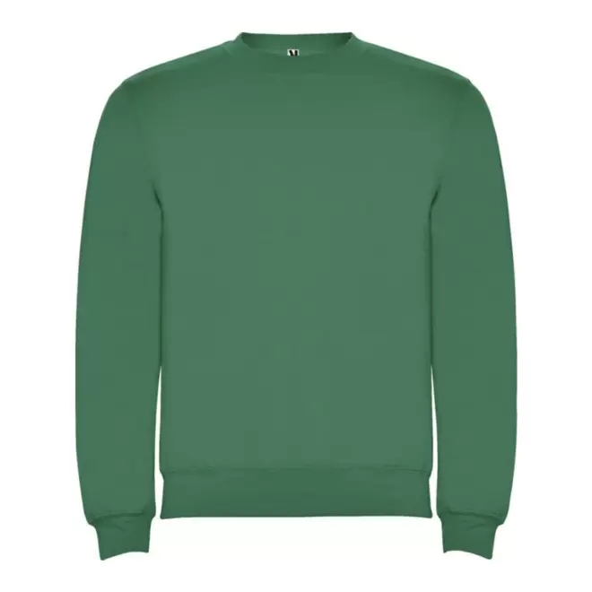 SWEAT SHIRT PERSONNALISE 'RAPHAEL KIDS' - vert