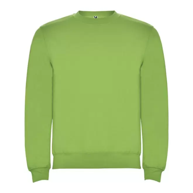 SWEAT SHIRT PERSONNALISE 'RAPHAEL KIDS' - vert clair