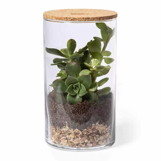 TERRARIUM PERSONNALISÉ 'TERRARI' - naturel
