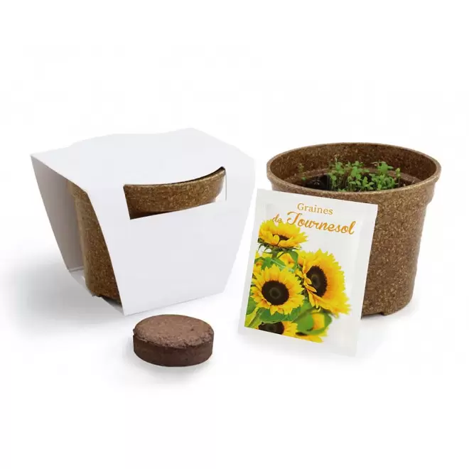 KIT PERSONNALISABLE DE PLANTATION JARDIN ECOLO 'ARROZY RRIZ' - tournesol