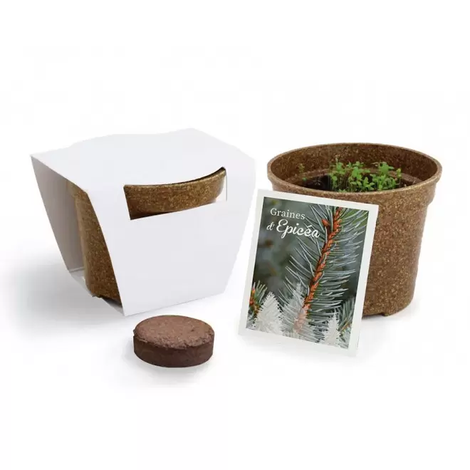 KIT PERSONNALISABLE DE PLANTATION JARDIN ECOLO 'ARROZY RRIZ' - épicéa