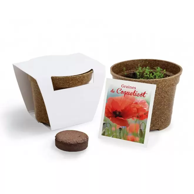 KIT PERSONNALISABLE DE PLANTATION JARDIN ECOLO 'ARROZY RRIZ' - coquelicot